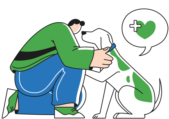 24/7 emergency veterinary care at Blue Oasis Vet